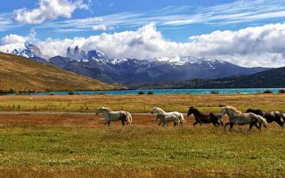 Discover the Magic of Horse Riding Holidays in Portugal