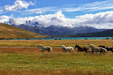 Discover the Magic of Horse Riding Holidays in Portugal