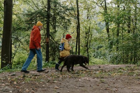 Benefits of a summer walking holiday with your family