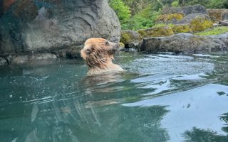 Exploring Seattle with CityPASS: Top Attractions