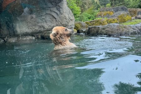 Exploring Seattle with CityPASS: Top Attractions