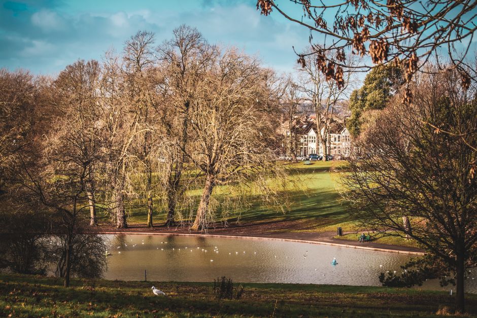 Beautiful autumn scenery at Victoria Park in Bristol, capturing leafless trees, a pond, an