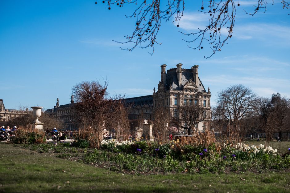 Beautiful springtime view of the Louvre Museum gardens with blooming flowers and the histo