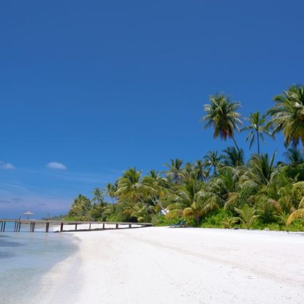 Budget Travel Maldives: How to Visit the Maldives on a Budget: A Realistic Plan for 2026 Budget Travel Maldives: How to Visit the Maldives on a Budget: A Realistic Plan for 2026
