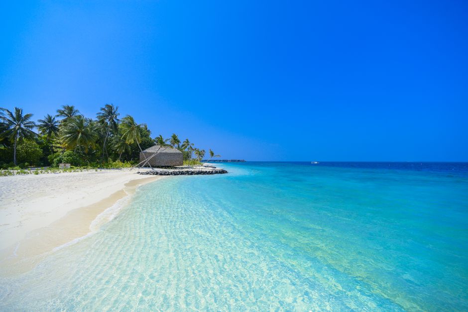 Crystal clear waters and palm trees on a tranquil Maldives beach.