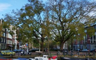 Eco-Friendly Hotels Amsterdam Under 0: 7 Eco-Friendly Hotels in Amsterdam Under 0 (2026 Guide)