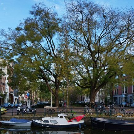 Eco-Friendly Hotels Amsterdam Under 0: 7 Eco-Friendly Hotels in Amsterdam Under 0 (2026 Guide) Eco-Friendly Hotels Amsterdam Under 0: 7 Eco-Friendly Hotels in Amsterdam Under 0 (2026 Guide)