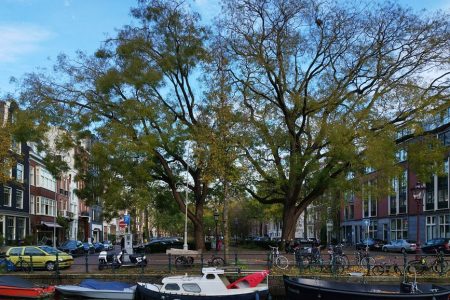 Eco-Friendly Hotels Amsterdam Under 0: 7 Eco-Friendly Hotels in Amsterdam Under 0 (2026 Guide)