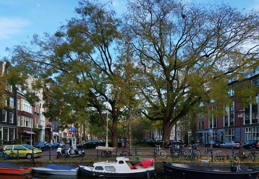 Eco-Friendly Hotels Amsterdam Under 0: 7 Eco-Friendly Hotels in Amsterdam Under 0 (2026 Guide)