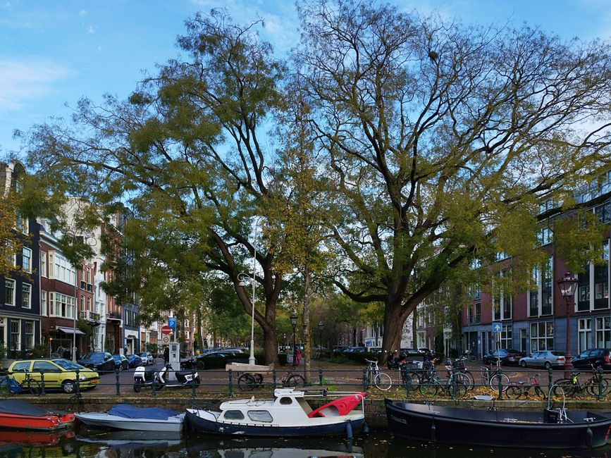 Eco-Friendly Hotels Amsterdam Under 0: 7 Eco-Friendly Hotels in Amsterdam Under 0 (2026 Guide)