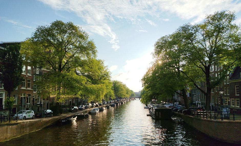 Charming view of an Amsterdam canal lined with green trees under a bright sky.