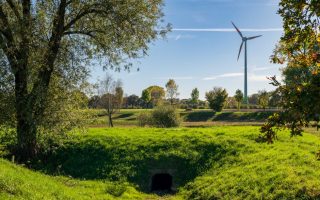 Why I burned my digital notes and started using a  shoe box