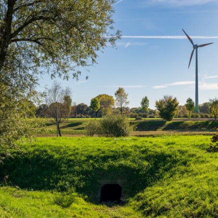 Why I burned my digital notes and started using a  shoe box