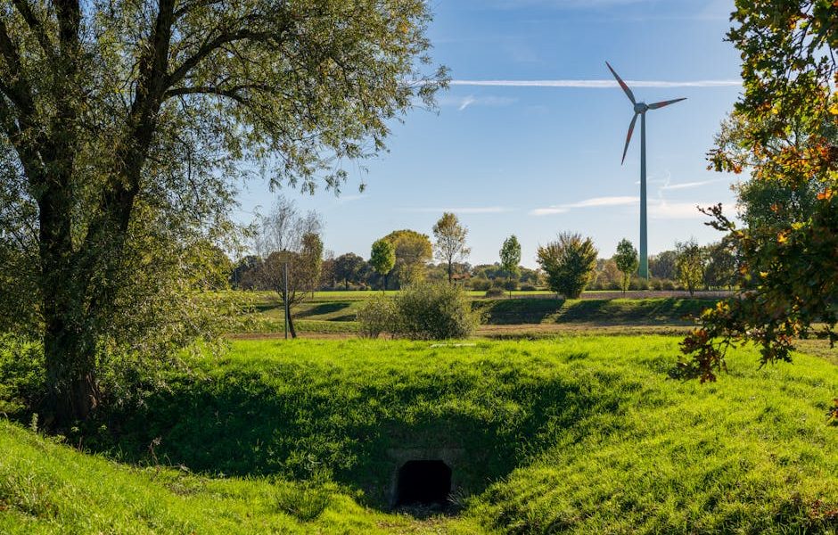 Why I burned my digital notes and started using a  shoe box