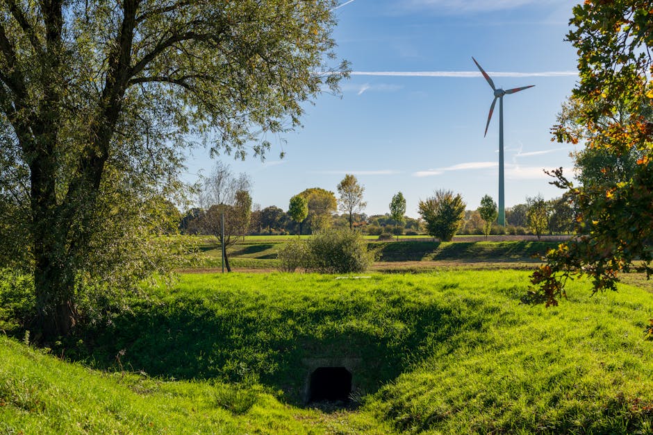 Why I burned my digital notes and started using a  shoe box