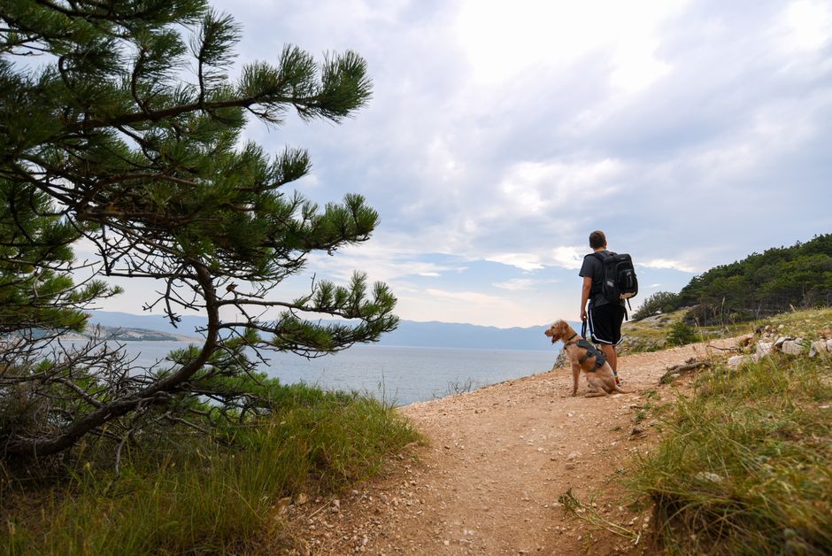 A man with backpack and dog hiking along a coastal path with sea view.