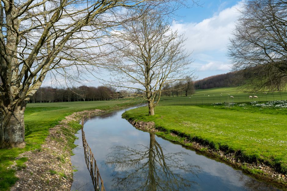 Picturesque spring landscape with a clear stream, grazing sheep, and bare trees under blue