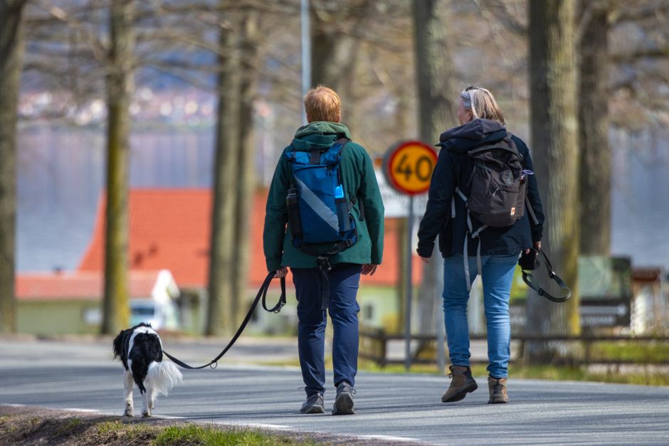 Two adults walking a dog along a scenic path on Visingsö, Sweden, with backpacks and vibrant spring landscape.