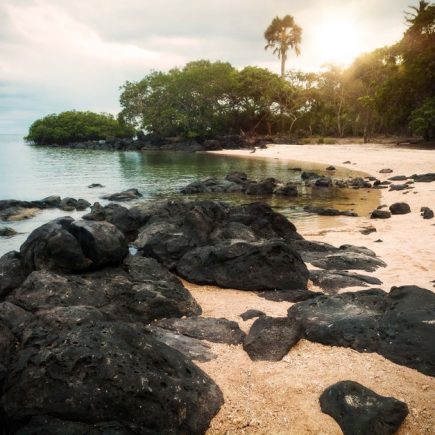 Travel Tips Galapagos Islands: 14 Essential Travel Tips for the Galapagos Islands Travel Tips Galapagos Islands: 14 Essential Travel Tips for the Galapagos Islands