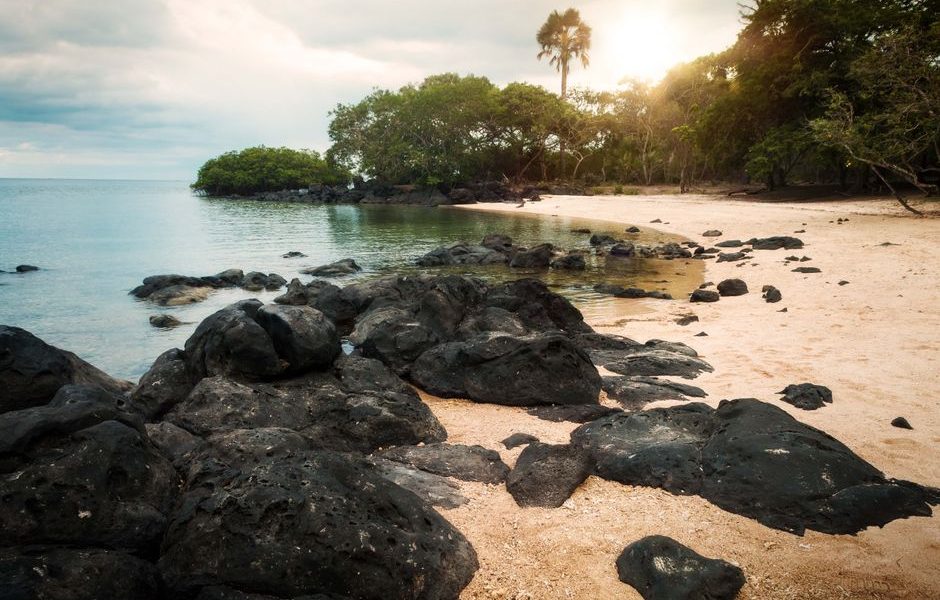 Travel Tips Galapagos Islands: 14 Essential Travel Tips for the Galapagos Islands
