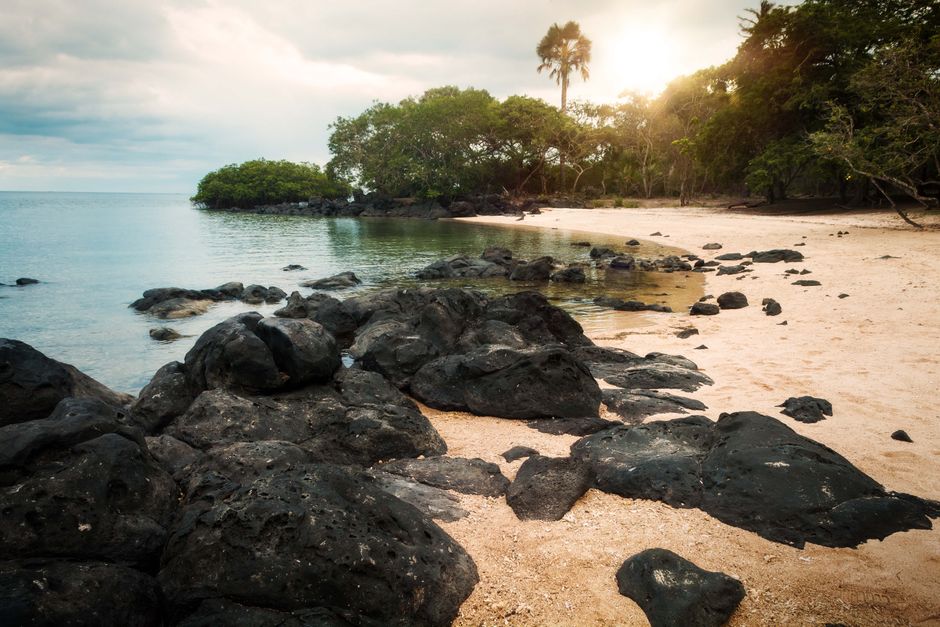 Travel Tips Galapagos Islands: 14 Essential Travel Tips for the Galapagos Islands