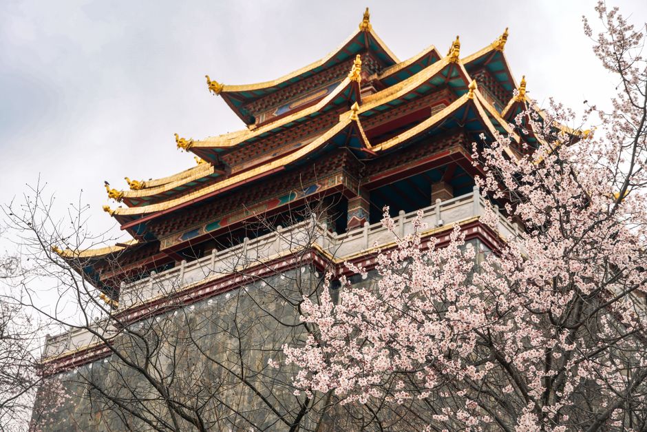 A scenic view of a traditional Chinese pagoda surrounded by cherry blossoms in springtime, Yunnan, China.